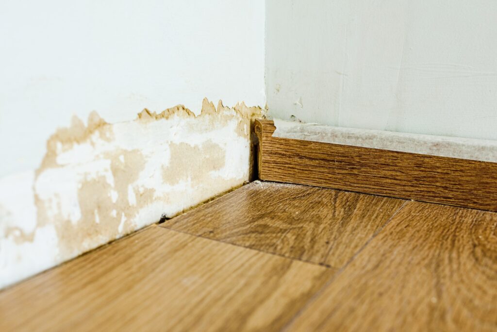 Mold Prevention After Water Damage: Essential Tips and Techniques