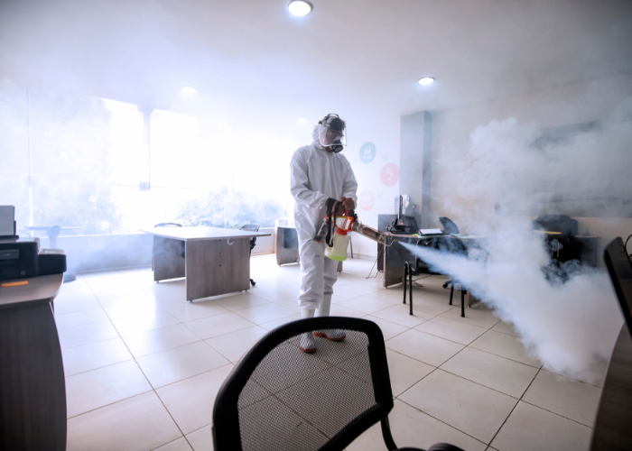 odor removal in a home